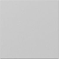 GIRA 3496015 Wippe gerade System 55 Grau matt (lackiert)