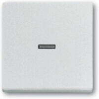 Busch-Jaeger Wippe Aluminium-Silber 1789 N-83
