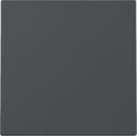 GIRA 329628 Wippe System 55 Anthrazit