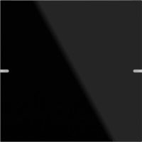 Gira Wippenset 1-fach Tastsens TS4 G schwarz 502105