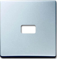 Busch-Jaeger Wippe Aluminium-Silber offen für Symbol 2120-33