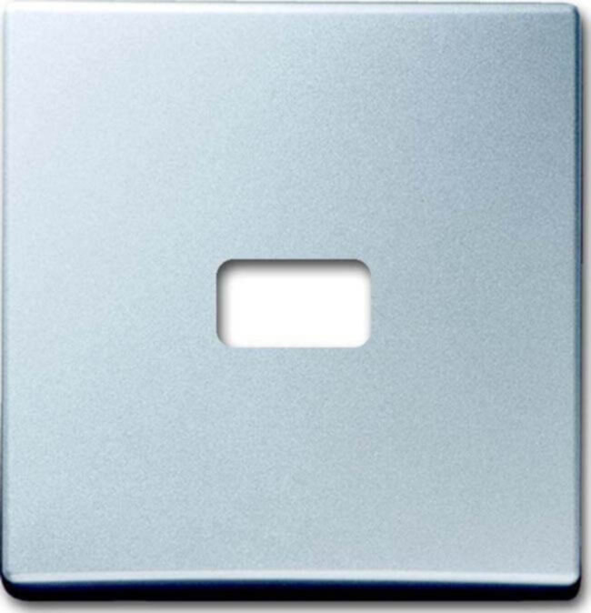 Busch-Jaeger Busch-Jaeger Wippe Aluminium-Silber offen für Symbol 2120-33
