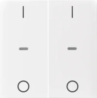 Berker Abdeckung Tastsensor-Modul 2-fach pws glänzend 80962389