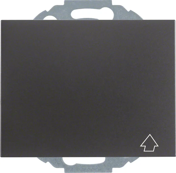 Berker Berker SCHUKO-Steckdose mit Klappdeckel K.1 47477106