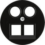 Berker Zentralstück 2-fach schwarz DATA/TV/FM Homeway 14452045