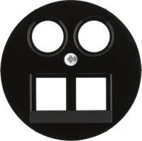Berker Zentralstück 2-fach schwarz DATA/TV/FM Homeway 14452045