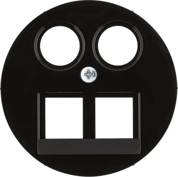 Berker Zentralstück 2-fach schwarz DATA/TV/FM Homeway 14452045