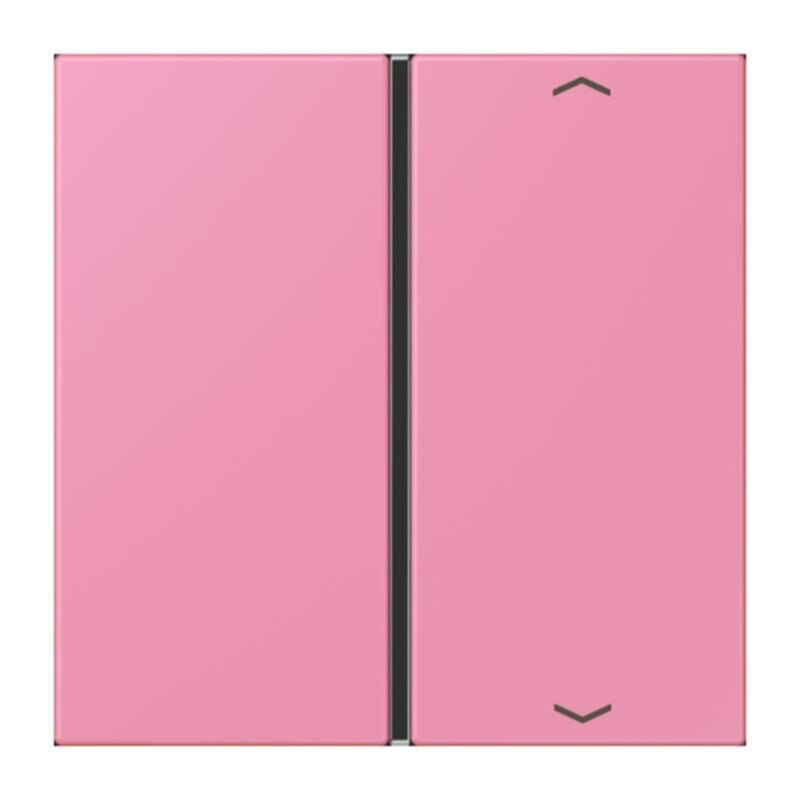 Jung Jung LC401TSAP246 Taste 1-fach Pfeil LC4320C