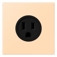 Jung LC521-15223 Steckdose US-Norm NEMA LC32060