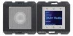 Berker 29807006 Radio Touch mit Lautsprecher DAB+K.x anthrazit matt