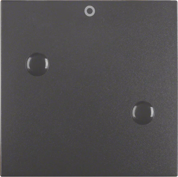 Berker Berker Wippe anschraubbar mit Aufdruck "0" B.1 15731606