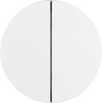 Berker Taste 2-fach polarweiß glänzend 85142139