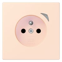 Jung BT LC 1521 F S 226 JUNG HOME Steckdose französisch/belgisches System