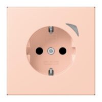 Jung BTLC1521S234 JUNG HOME SCHUKO Steckdose LC32112