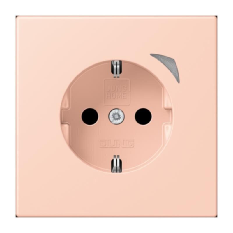 Jung Jung BTLC1521S234 JUNG HOME SCHUKO Steckdose LC32112