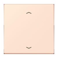 Jung LC1700P226 Steuertaste Standard -Pfeile LC32082