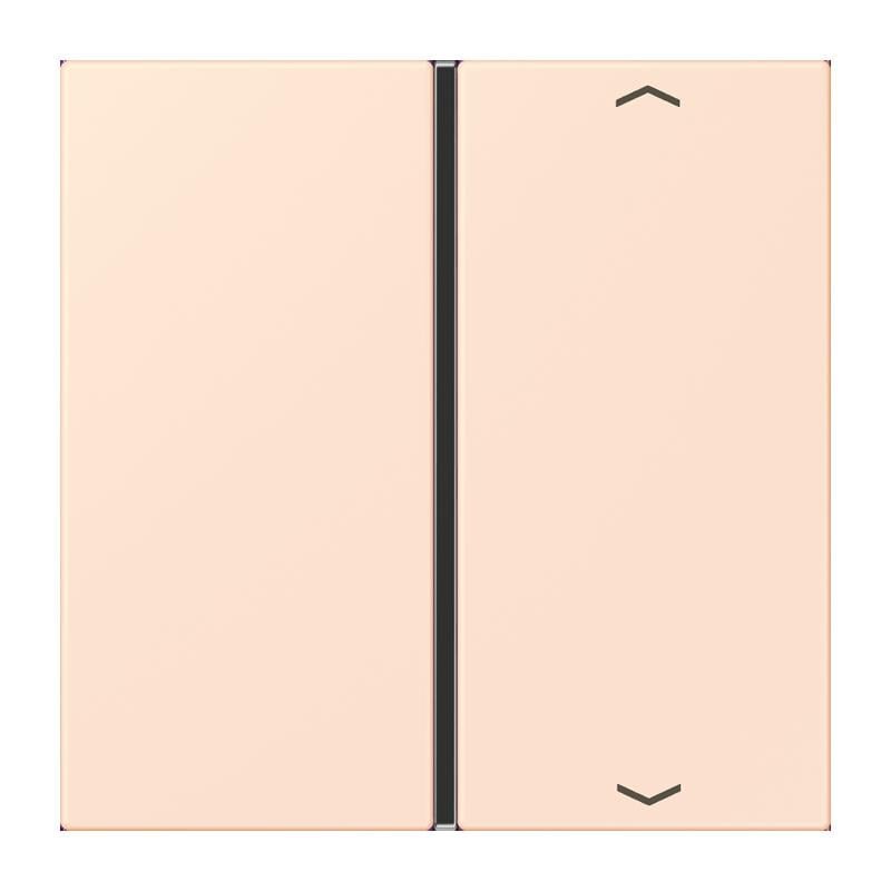 Jung Jung LC401TSAP226 Taste 1-fach Pfeil LC32082