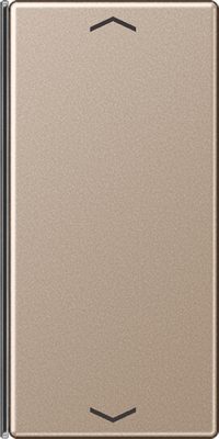 Jung Taste 2-fach champ. mit Symbolen A 402 TSAP CH