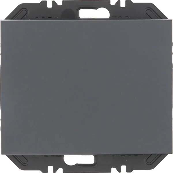 Berker Modul mit Wippe 1-fach K.1 anthazit 24117106