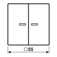 Jung KNX RF Taster 2-fach Thermoplast lackiert A 10921 ST RF BF SWM