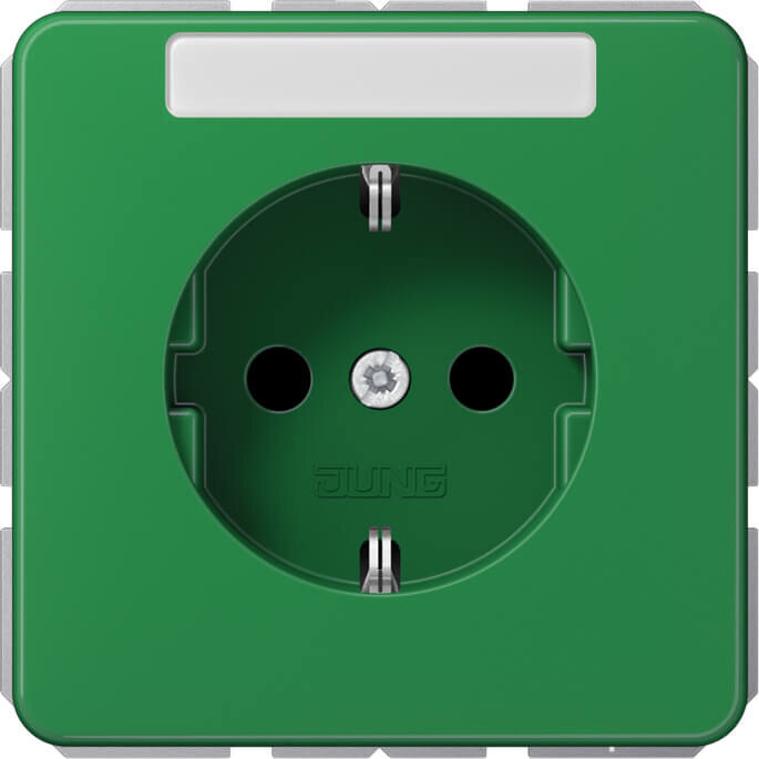 Jung Jung SCHUKO-Steckdose 16A 250V CD 1520 BF KI NA GN