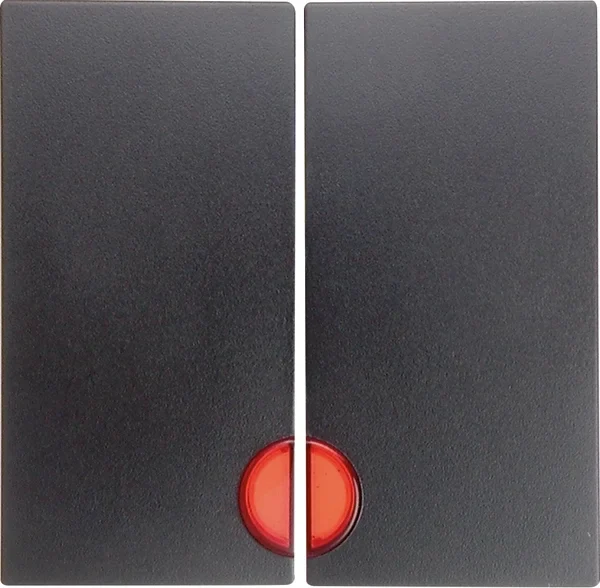 Berker Berker Wippe anthrazit matt mit roter Linse 16271606