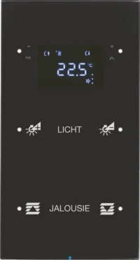 Berker Touchsensor 2-fach Glas schwarz 75642155