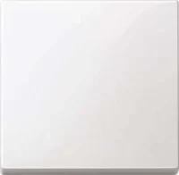Merten Wippe pws/gl 432119