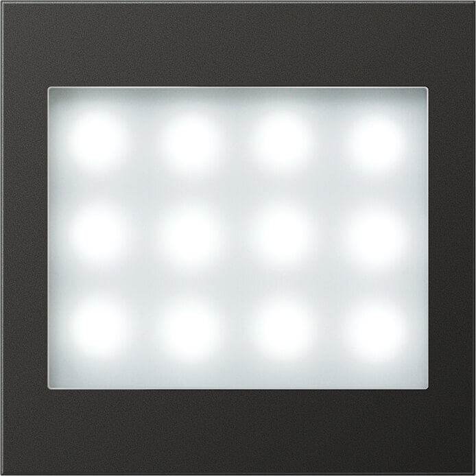 Jung Jung LED-Leselicht anthr weiße LEDs AL 2539 AN LED LW-12