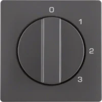 Berker Zentralstück mit Drehknopf 3S Q.1/Q.3 anthrazit 1096608600