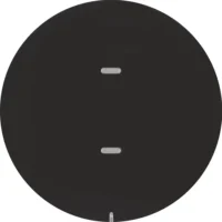 Berker Tastsensor 1-fach schwarz/glänzend 80161865