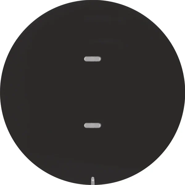 Berker Berker Tastsensor 1-fach schwarz/glänzend 80161865