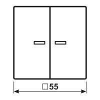 Jung Wippe mit Lichtleiter graphitschwarz matt A 102 KO5P BF SWM