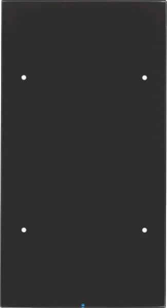 Berker Berker Touch-Sensor 2-fach Glas schwarz 75142855