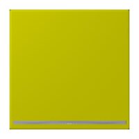 Jung LC1539-OOLNW249 LED-Orientierungslicht ohne Sensor LC432