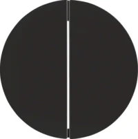 Berker KNX-Funk Taste 2-fach schwarz glänzend 85146131
