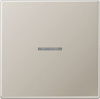 Jung KNX RF Taster 1-fach neutral, Edelstahl ES 10911 ST RF