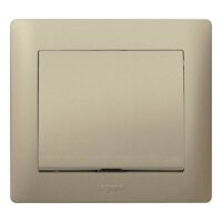 Legrand 771485 Abdeckung Leitungsauslass Galea titanium
