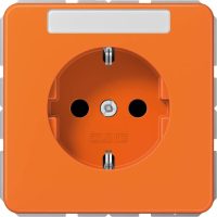 Jung SCHUKO-Steckdose 16A 250V mit Schriftfeld CD 1520 NBFNA O