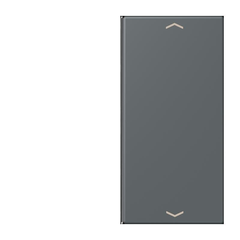 Jung Jung LC402TSAP202 Taste 2-fach Pfeil LC32010