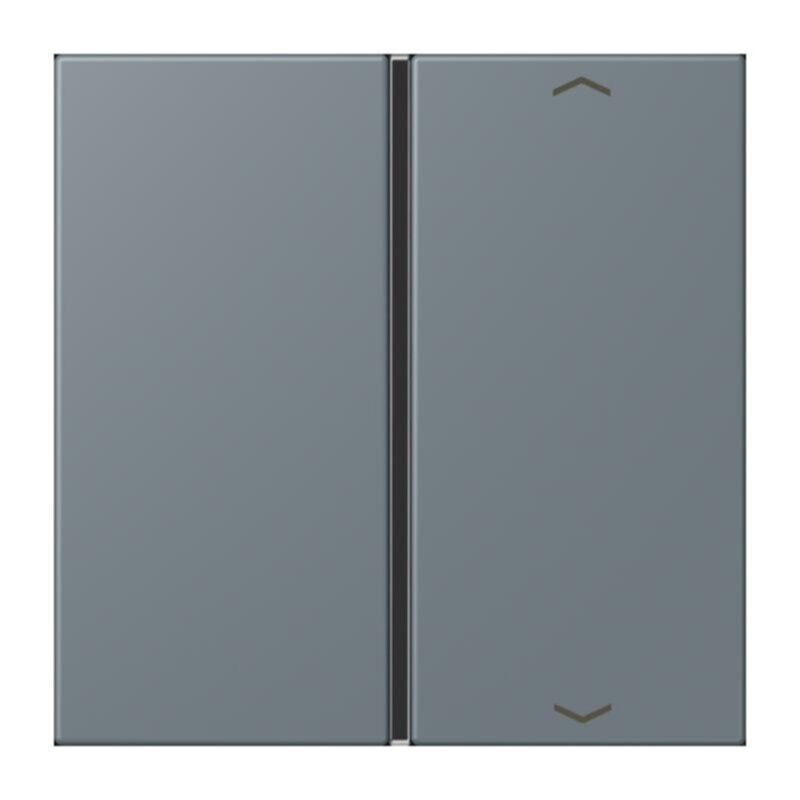 Jung Jung LC401TSAP251 Taste 1-fach Pfeil LC4320H