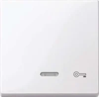 Merten Wippe Kontr.Fenster aws/gl Aufdruck Schlüssel 435325