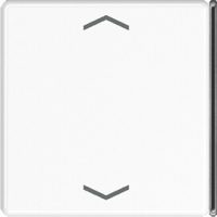 Jung Taste 4-fach aws mit Symbolen A 404 TSAP WW 23