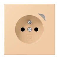 Jung BT LC 1521 F S 237 JUNG HOME Steckdose französisch/belgisches System