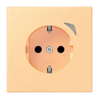 Jung BTLC1521SE258 JUNG HOME SCHUKO Steckdose Energy LC4320