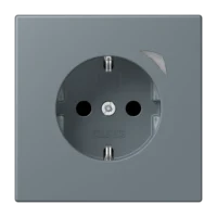 Jung BTLC1521SE251 JUNG HOME SCHUKO Steckdose Energy LC4320