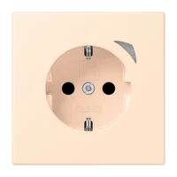 Jung BTLC1521SE238 JUNG HOME SCHUKO Steckdose Energy LC3212