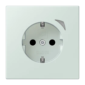 Jung Jung BTLC1521SE215 JUNG HOME SCHUKO Steckdose Energy LC3203