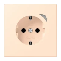 Jung BTLC1521S238 JUNG HOME SCHUKO Steckdose LC32123