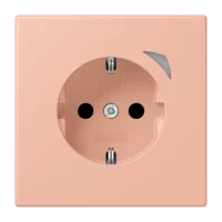 Jung BTLC1521S231 JUNG HOME SCHUKO Steckdose LC32102